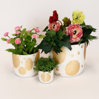 GOLD PATTERN POT S - DHP0136