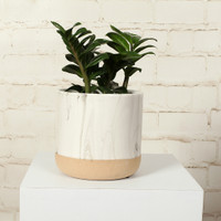 MARBLE POT LARGE -SY053