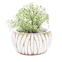 WHITE BRUSHED LOW POT-CZ003