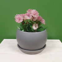 Ball Pot Charcoal M - HX13800-3W(MSG)