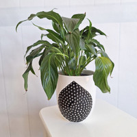 Teardrop Pot - S210313-3