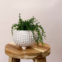 Woven Pot Large - S210326