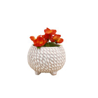 Woven Pot Medium - S210327