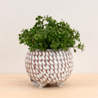 Woven Pot Small - S210328