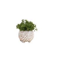 Woven Pot Small - S210328