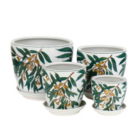 HAND PAINTED GUM NUTS  POTS - SET OF 4 - PE0088