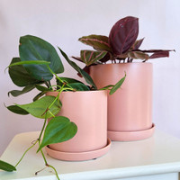   SMALL BLUSH CYLINDER POT - SY069