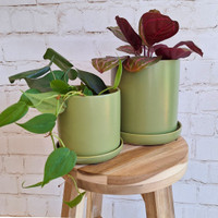 SMALL OLIVE CYLINDER  POT - SY071