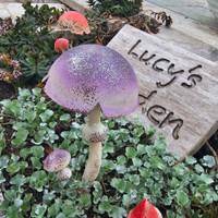 Mushroom Stake Lilac - BHB326
