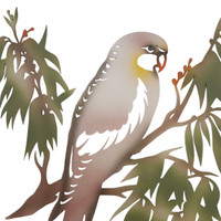 COLOURED PARROT WALL ART - XJ935