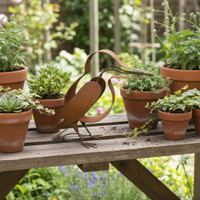 KOOKABURRA   - BHB122