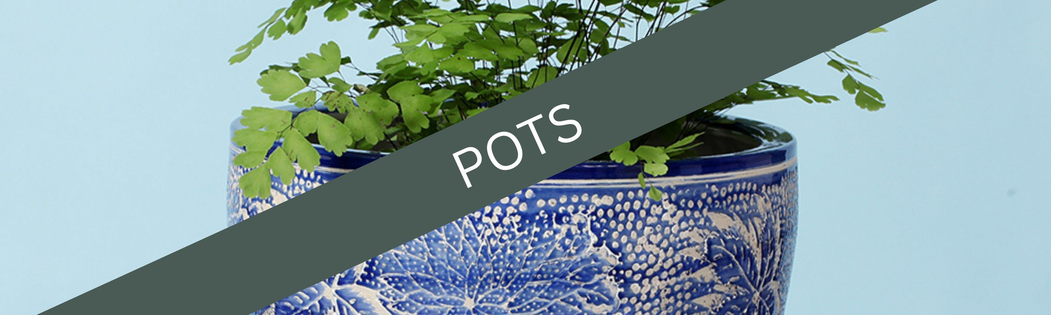 Pots 