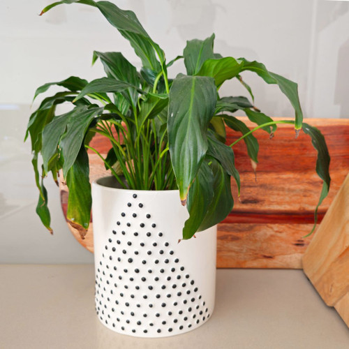 Pyramid Dot Pot Set of 2  - S210312