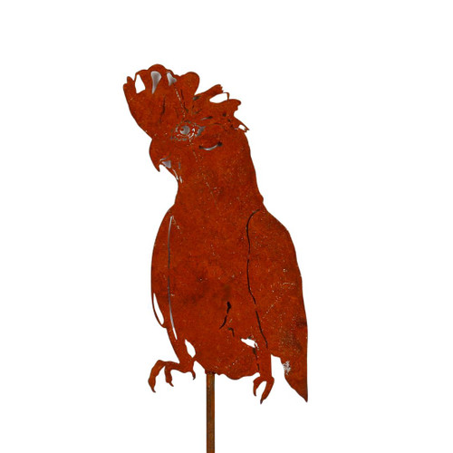 BLACK COCKATOO STAKE - XJ234