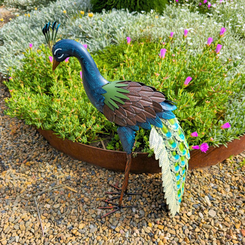 STANDING PEACOCK - GR1357