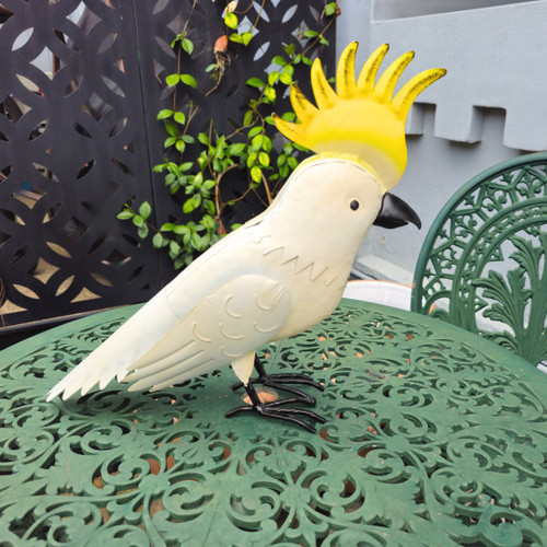 COCKATOO - XJ679