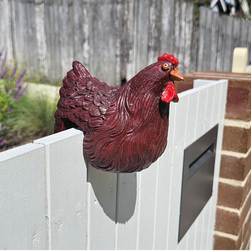 FENCE HEN BROWN - HF646