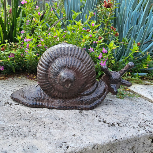 SNAIL - BW378