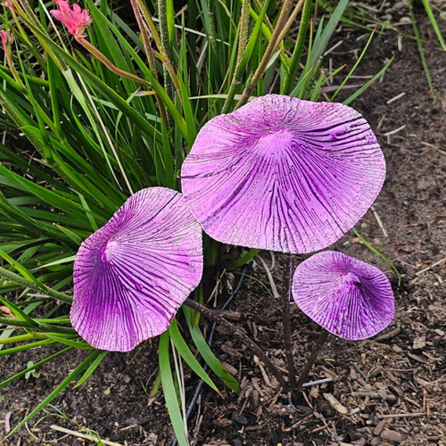 MUSHROOM STAKE TRIPLE PURPLE - XJ005-P