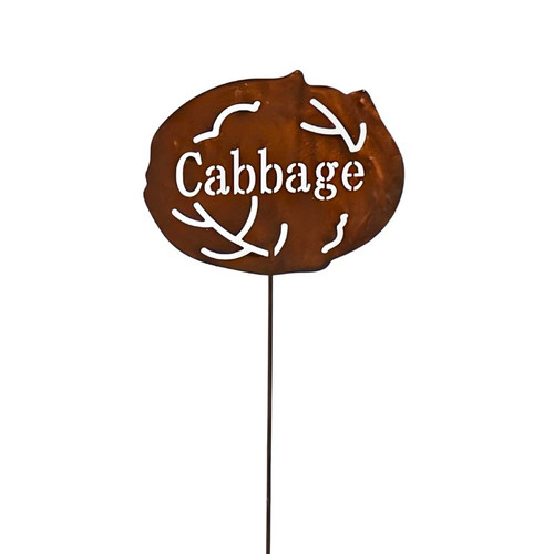 CABBAGE STAKE - US473