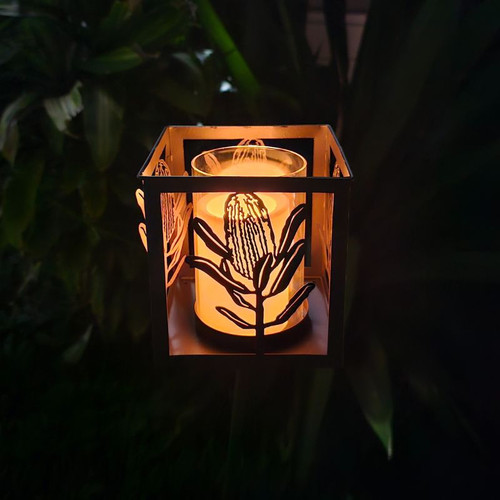 BANKSIA LANTERN STAKE - XJ262