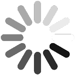QR Scanner Loader