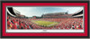 Georgia Bulldogs Sanford Stadium Panoramic Poster