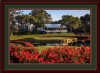 Golf Photo of TPC Sawgrass 17th Hole Framed Picture