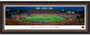 Reser Stadium Oregon State Beavers Framed Picture