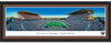 Washington Husky Stadium Season Opener Framed Picture