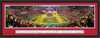 2015 CFP Championship Celebration Framed Panoramic Print