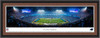 Carolina Panthers Bank of America Stadium Night Framed Picture