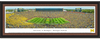 Michigan Stadium 2015 Season Opener Framed Picture