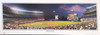 Yankee Stadium Panoramic bundle