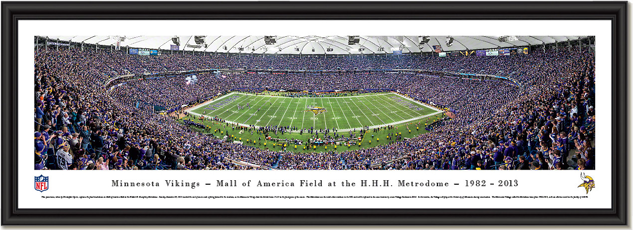 vikings poster nfl