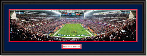 Houston Texans Reliant Stadium Panoramic Framed Picture