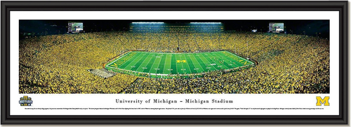 Michigan Stadium Under the Lights II Framed Picture