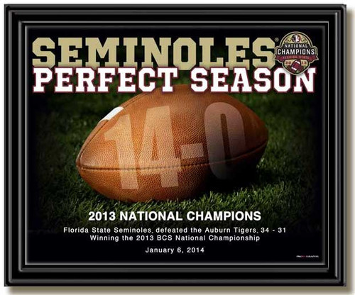 Florida State Seminoles Perfect Season Framed Picture