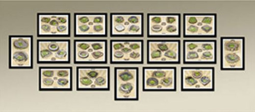 Collect Historic Ballparks of Baseball Framed Prints