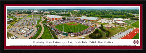 Mississippi State Bulldogs Baseball Dement Stadium Framed Panoramic Picture
