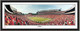 Georgia Bulldogs Sanford Stadium Panoramic Poster