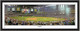 Chase Field Arizona Diamondbacks First Pitch Arizona Panoramic Poster