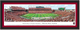 Williams-Brice Stadium Scoreboard Framed South Carolina Picture