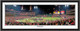 St. Louis Cardinals 2011 World Series Celebration Framed Print NO MATTING and BLACK FRAME