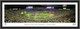 2020 Rose Bowl -- Oregon Ducks CELEBRATION -- Framed Panoramic