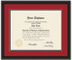 Arkansas State Bachelor's Degree Diploma Frame