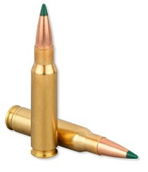 The Best AR-15 Cartridges (And Why)