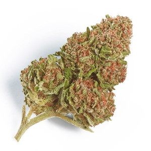 Peak Exotic Runtz Flower 3.5 g – dense, crystal-coated buds with sweet candy and tropical fruit aroma Peak Exotic Runtz Flower 3.5 g – dense, crystal-coated buds with sweet candy and tropical fruit aroma