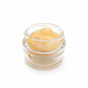 Snipe THC Concentrate 5-gram jar – premium glossy cannabis extract with rich THC potency and smooth texture Snipe THC Concentrate 5-gram jar – premium glossy cannabis extract with rich THC potency and smooth texture