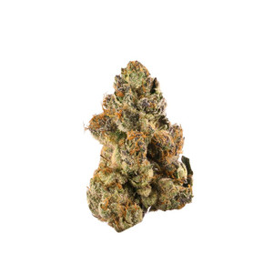 Doughboy Golden Gelato Exotic Flower – dense golden-hued buds with creamy gelato aroma and frosty trichomes Doughboy Golden Gelato Exotic Flower – dense golden-hued buds with creamy gelato aroma and frosty trichomes